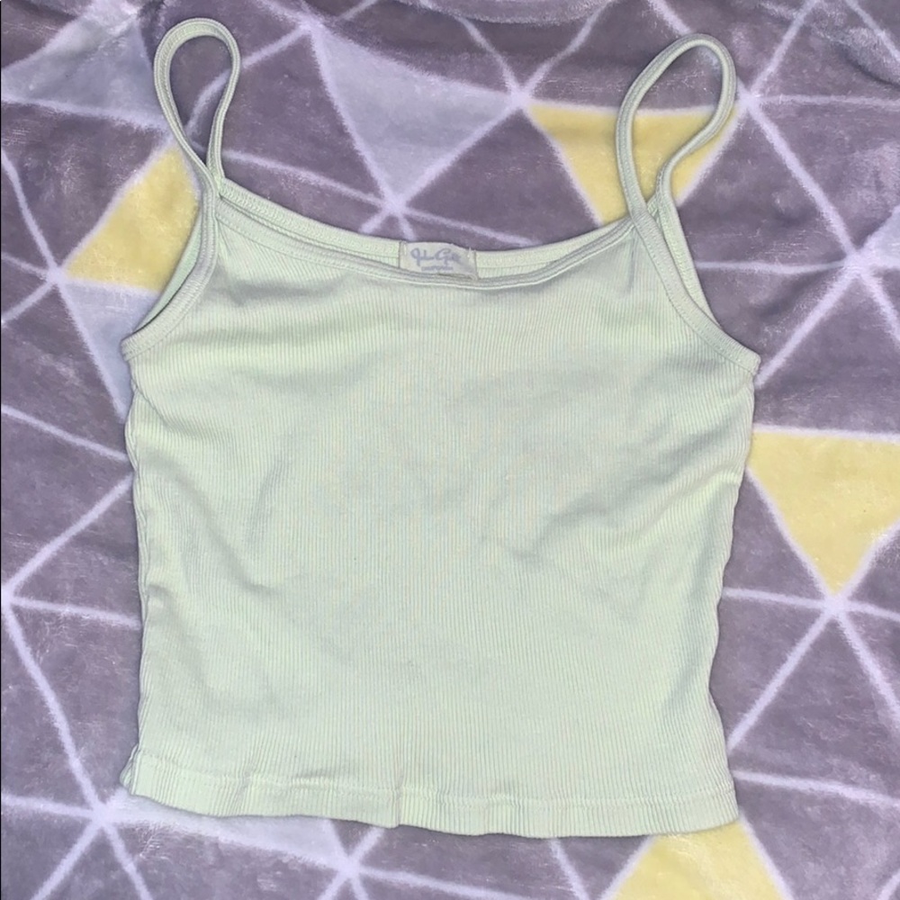 John Galt pastel green crop top